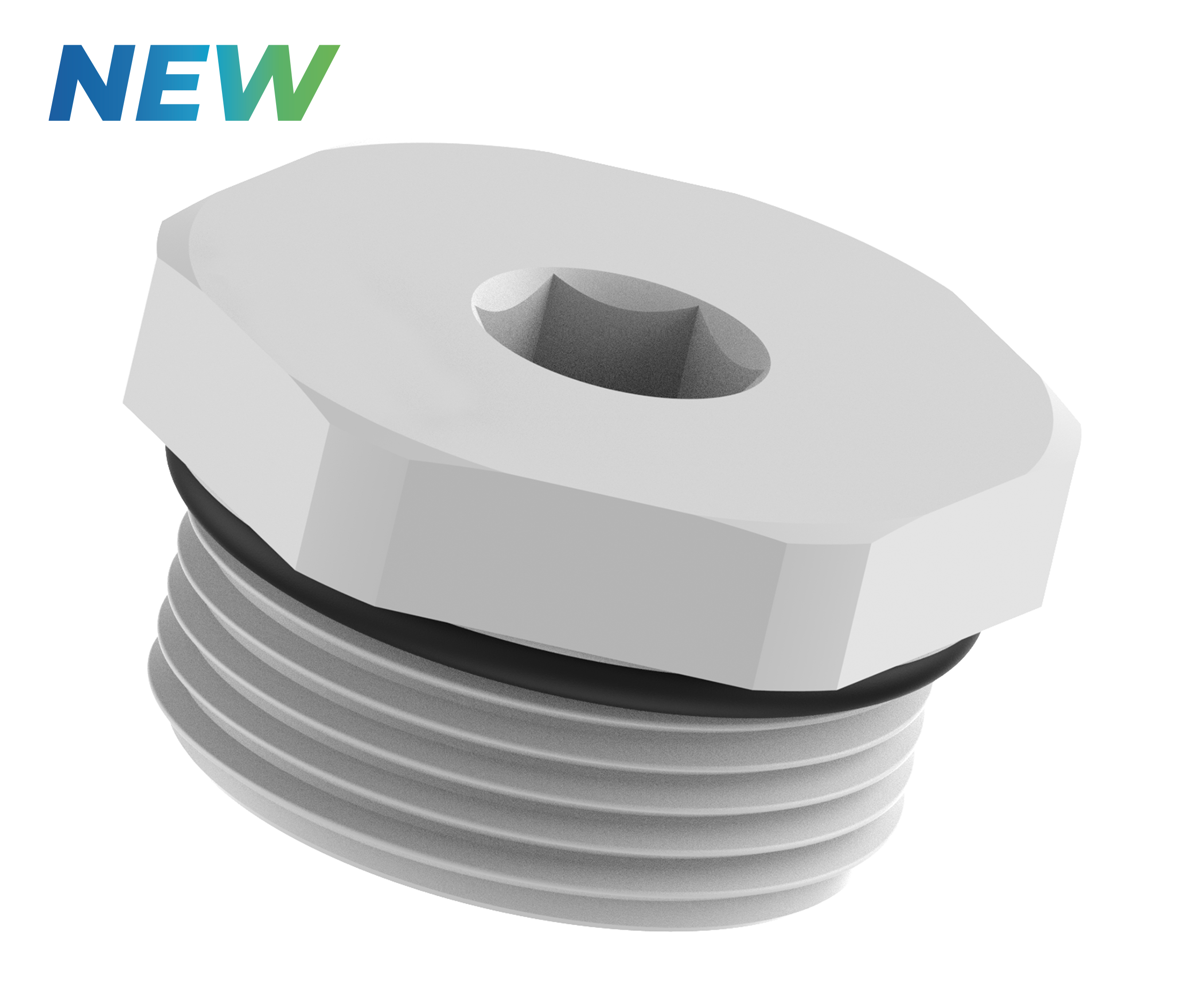 Blind Plugs, Hex Socket, Polyamide